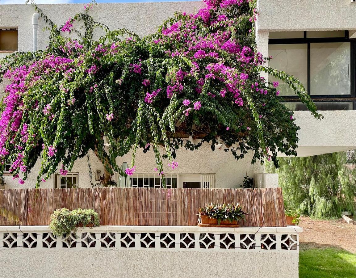 Casa Zoltan Apartment Costa Del Silencio Exterior photo